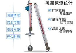 頂裝磁翻柱液位計